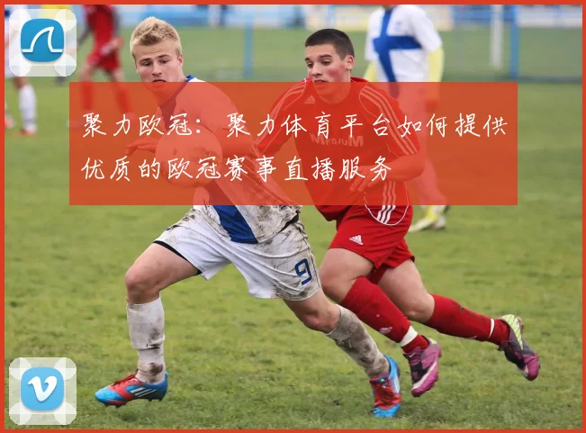 聚力欧冠：聚力体育平台如何提供优质的欧冠赛事直播服务
