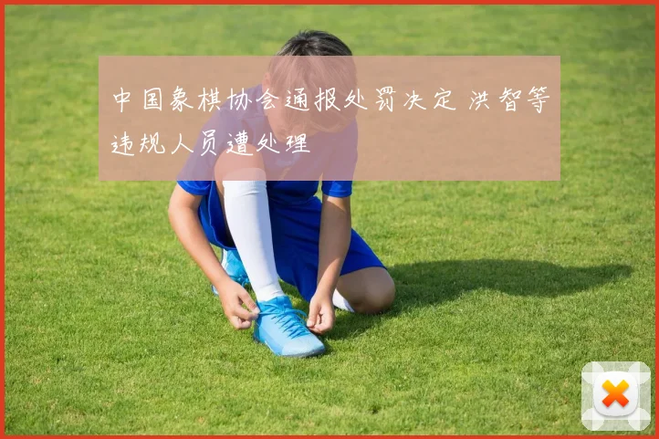 中国象棋协会通报处罚决定 洪智等违规人员遭处理